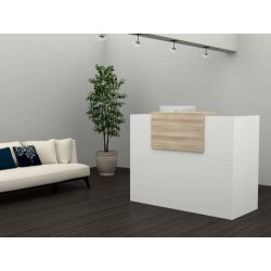 Mostrador HAYA con sobre mostrador